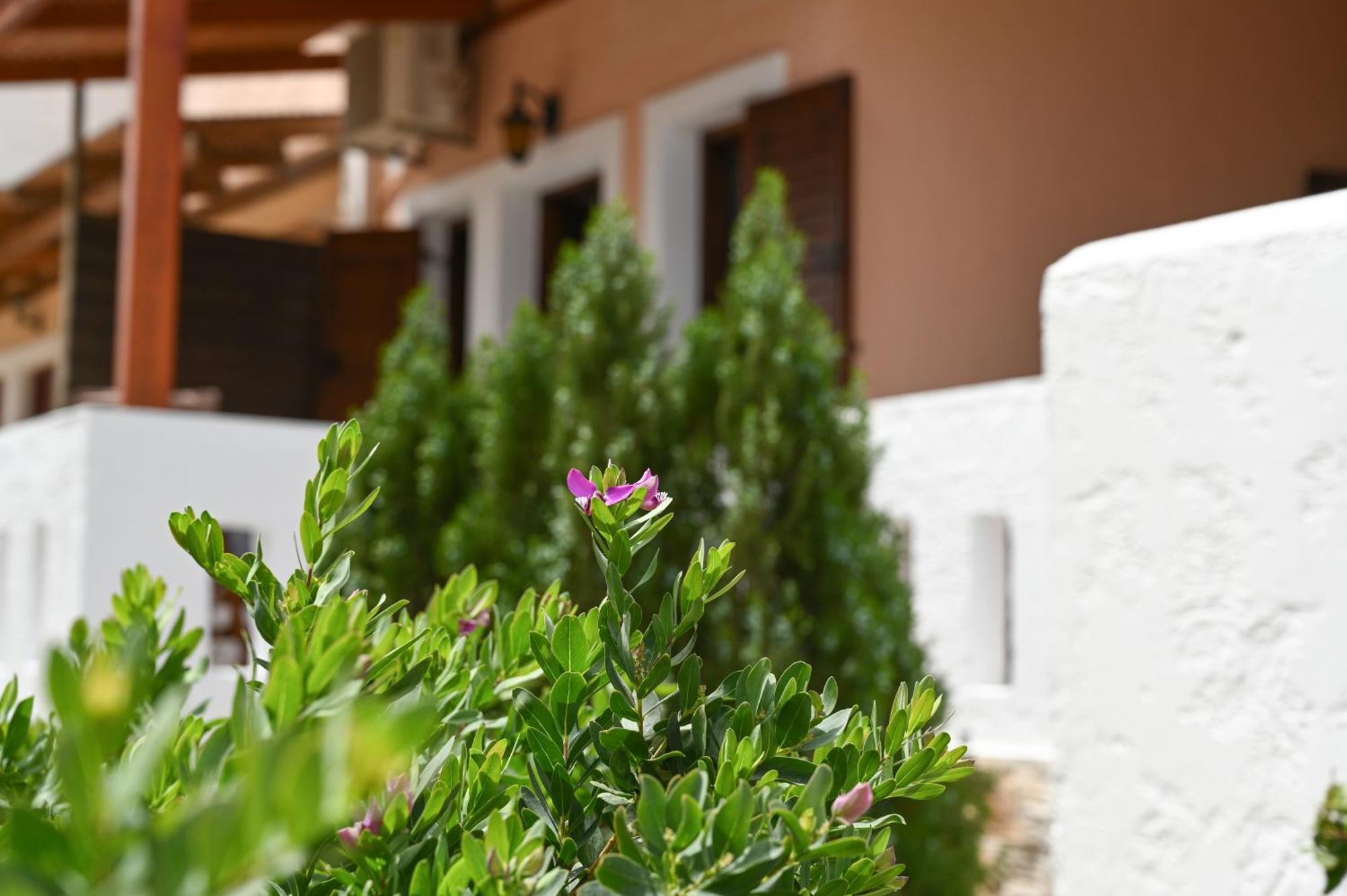 Apartamento Garden House Xerokampos Xerokampos  Exterior foto
